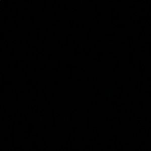 Meet your Posher, Cody